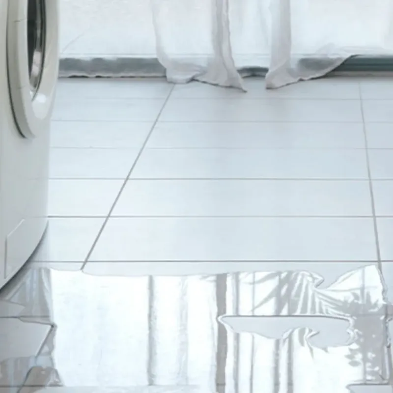 Appliance Leak Cleanup in Central City, KY