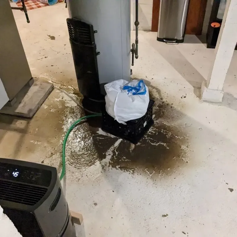 Sewage Backup Cleanup Service in Central City, KY